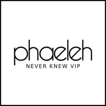 Never Knew (VIP) cover art