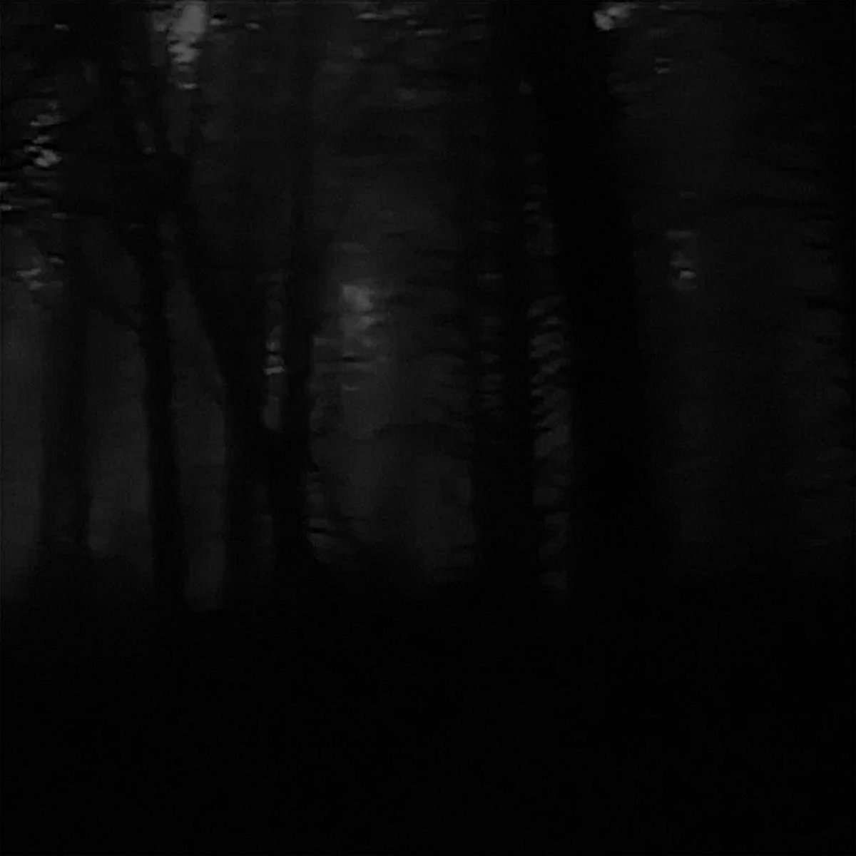 aokigahara-the-black-market