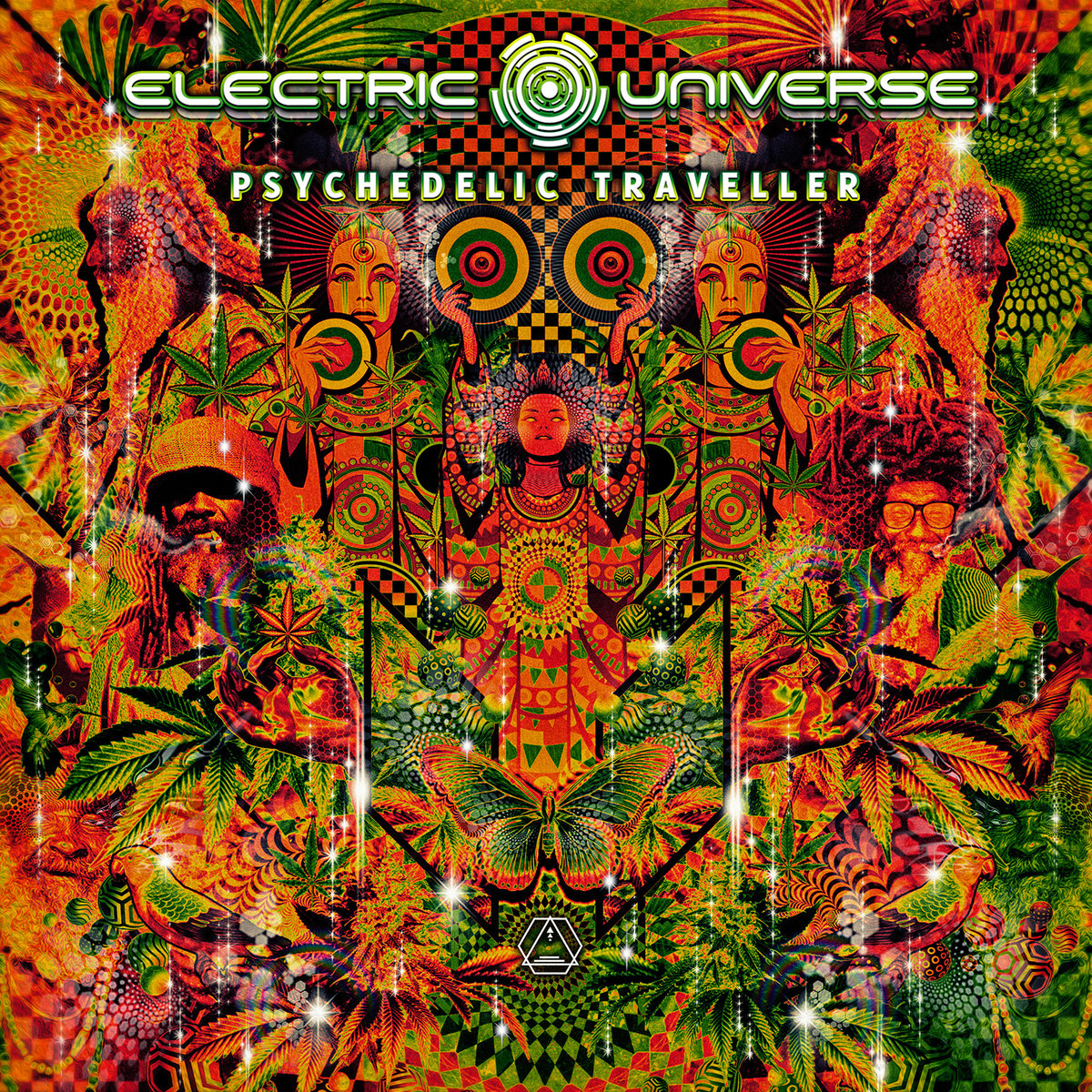 Psychedelic Traveller | Electric Universe