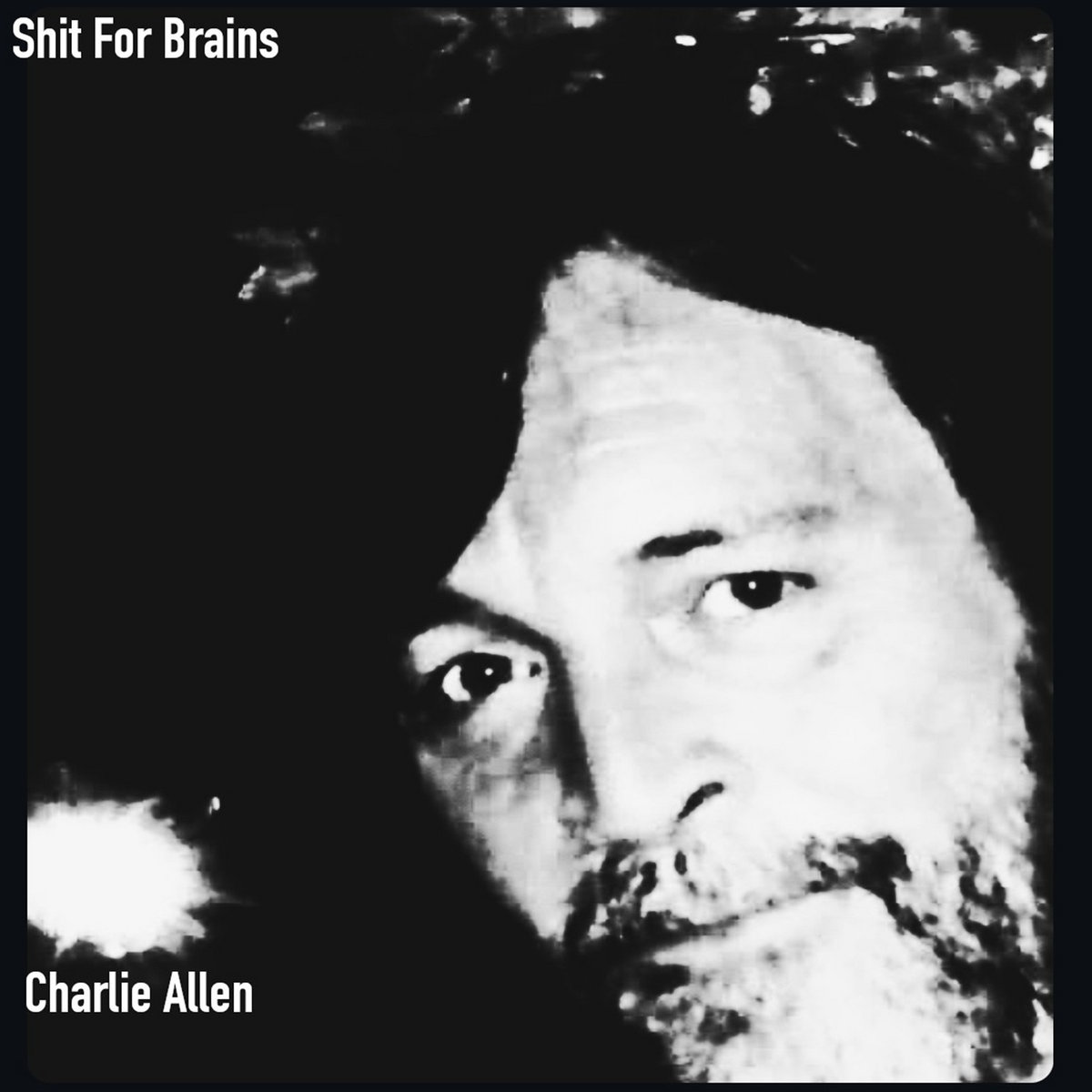 Shit For Brains | Charlie Allen | Basement Corner Emissions