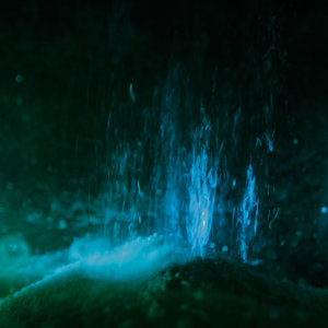 Signal Collapse cover