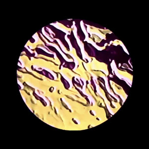 Cumulus Ruminations Vol 2. cover