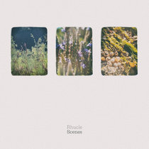 Scenes cover art