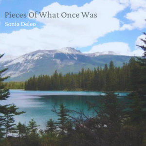 Pieces Of What Once Was cover