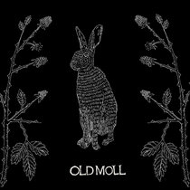 Silver Hare