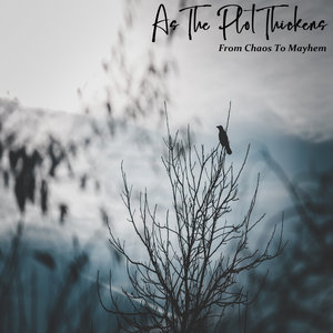 From Chaos To Mayhem cover