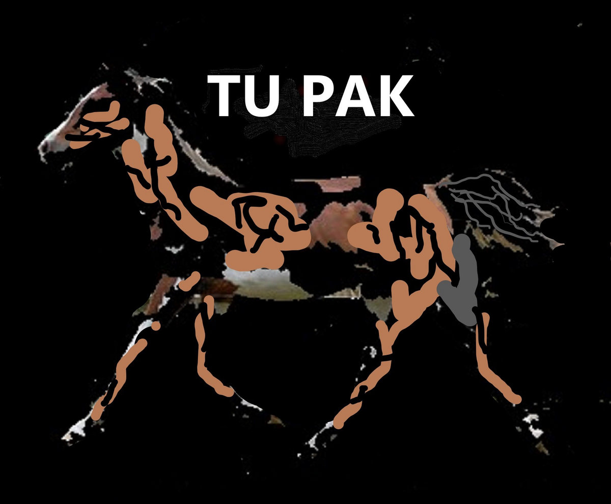Tu Pak | Vieitez