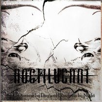 Only Dimness by Day and Blindness by Night cover art