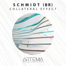 Schmidt (BR) — Collateral Effect