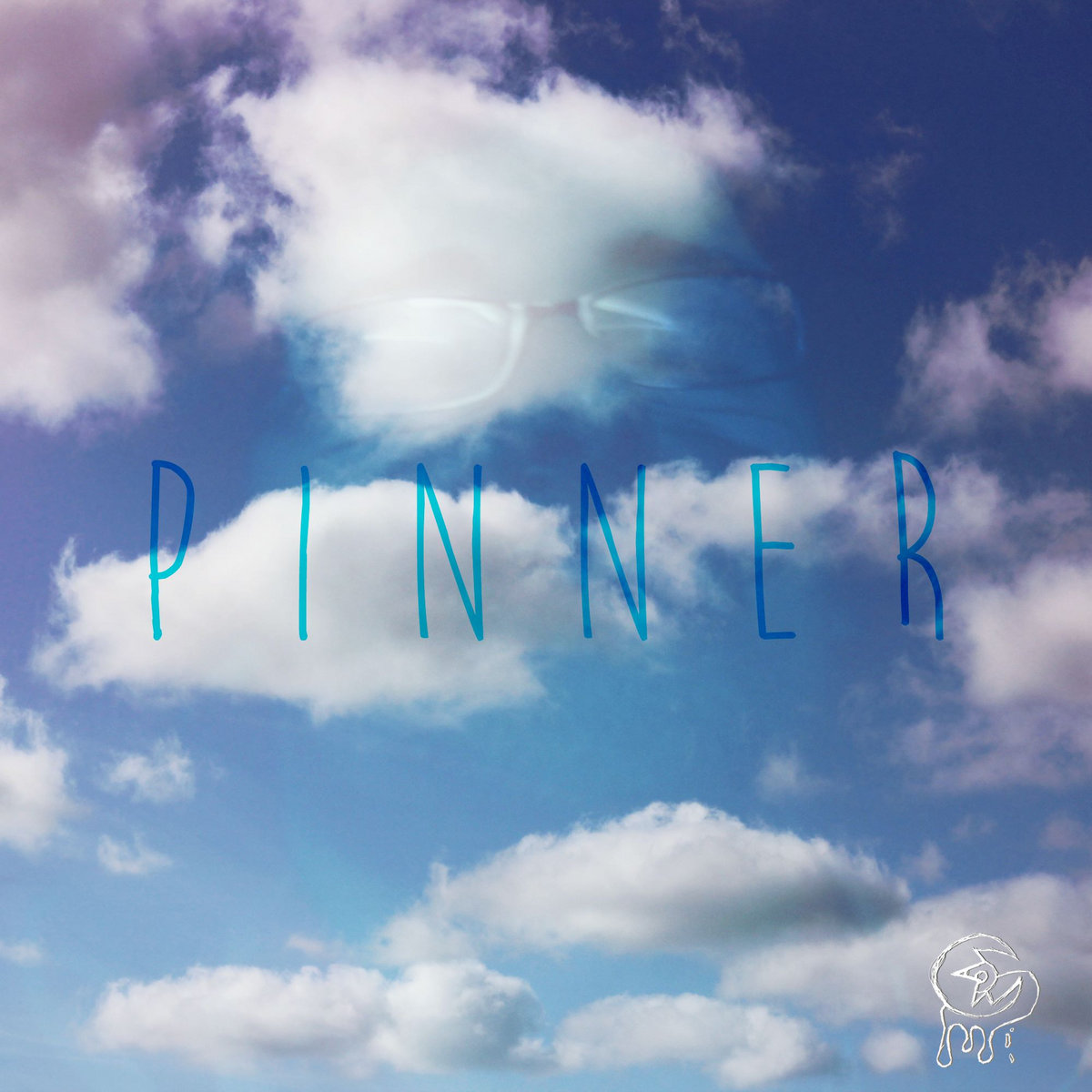Pinner cover