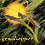 Grasshopper — 點解 cover art