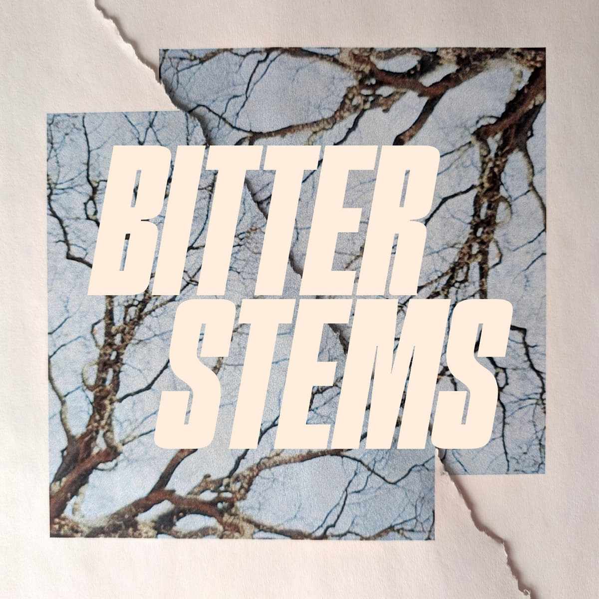 その他 Bittering Thorns EA RF Thorns - Flame Tree Publishing