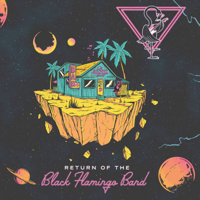 Return of the Black Flamingo Band | Bud Bronson & The Good