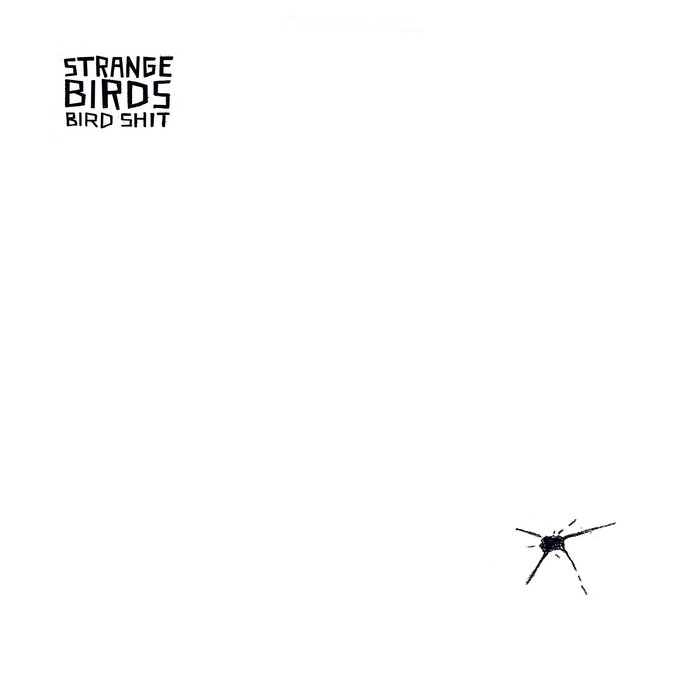 BIRDSHIT | Strange Birds | WT Records