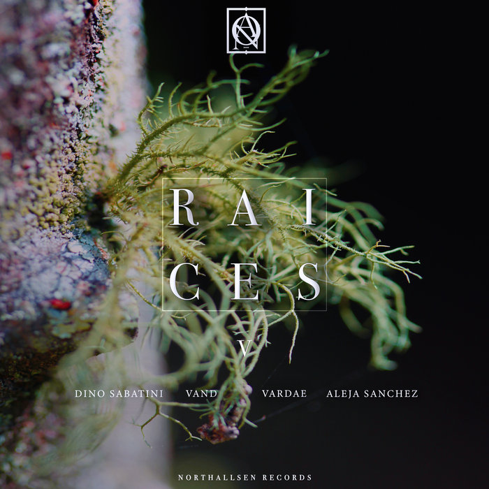 northallsenrecords.bandcamp.com