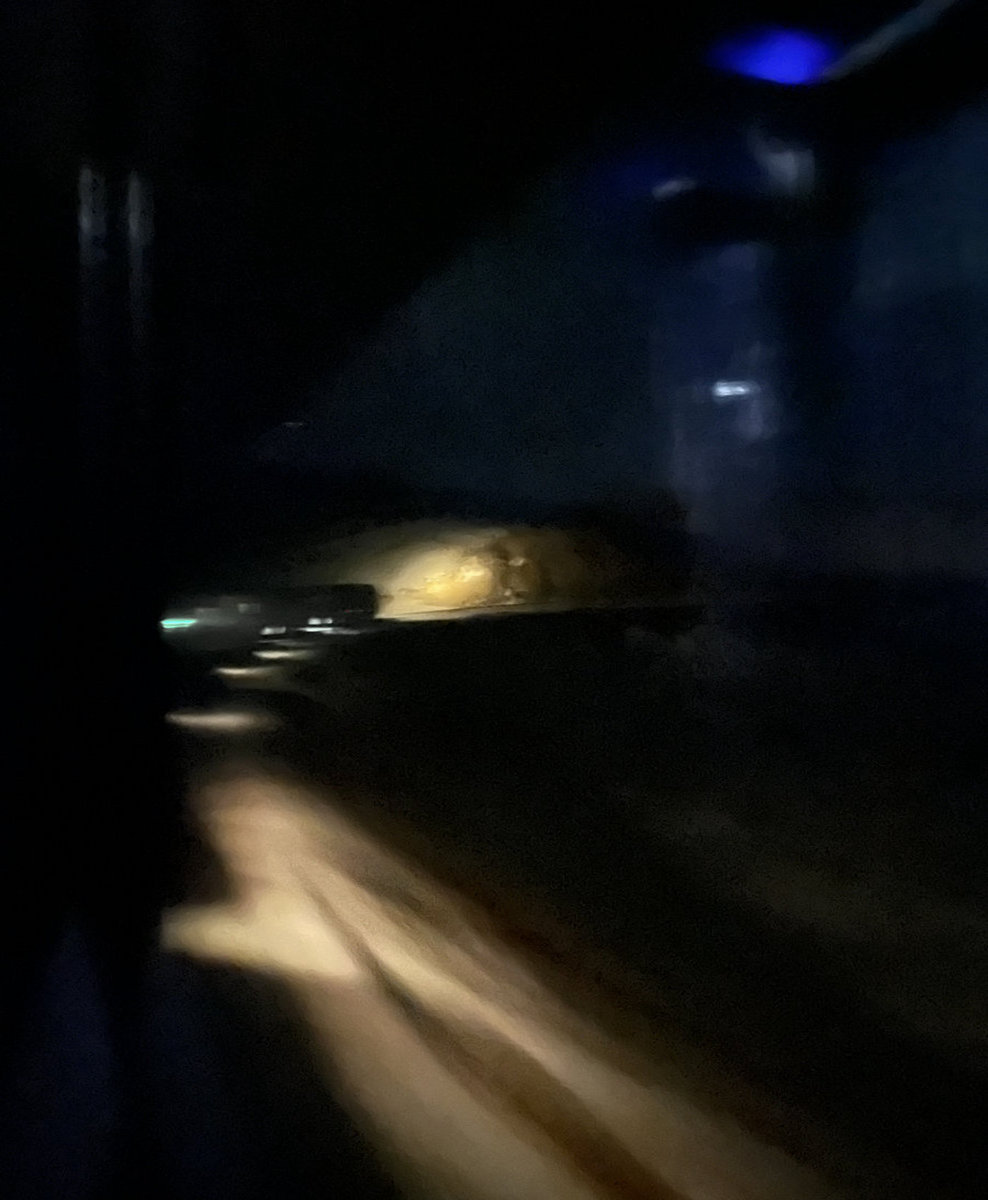 Mighty Toad Session | The Repeat Wheel