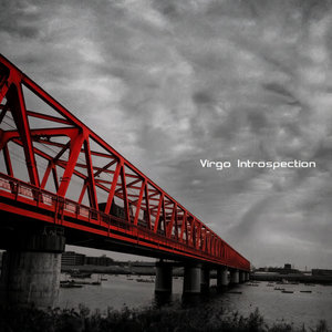 Introspection cover