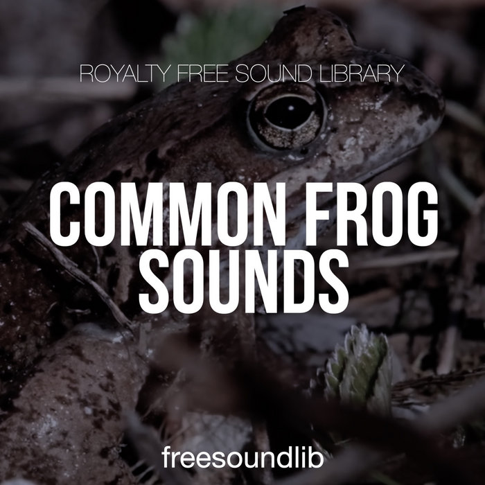 Common Frog Sounds freesoundlib