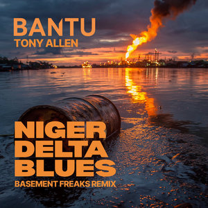 Niger Delta Blues (Basement Freaks Remix) cover