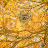 Lothlòrien [EP] Cover Art