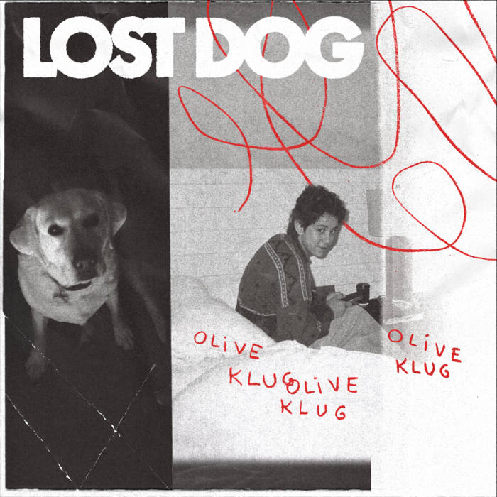 Lost Dog | Olive Klug