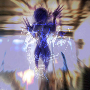 A Diaphanous Veil Between You and I cover