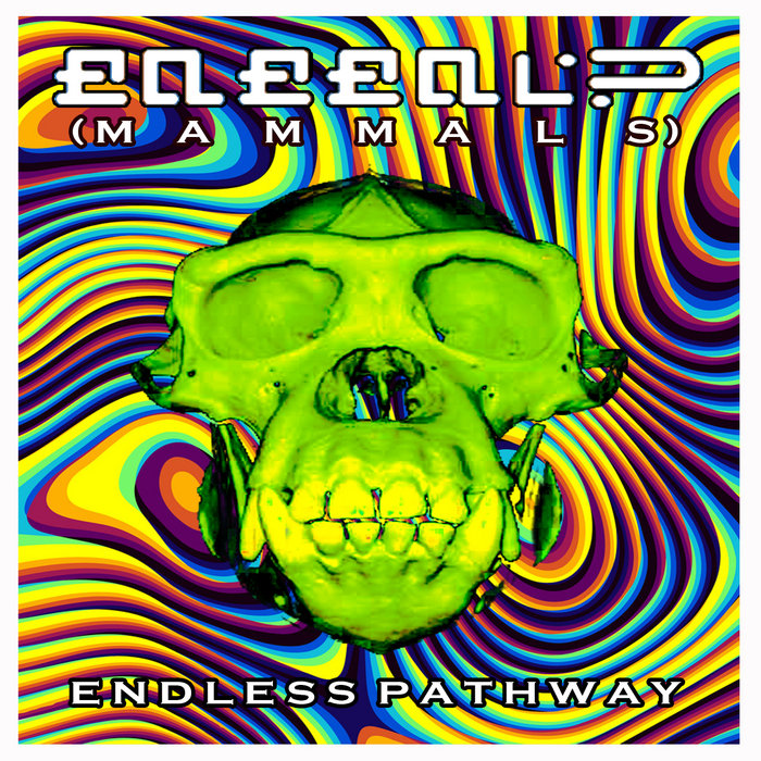 Endless Pathway | Mammals
