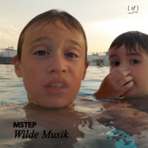 Wilde Musik cover art