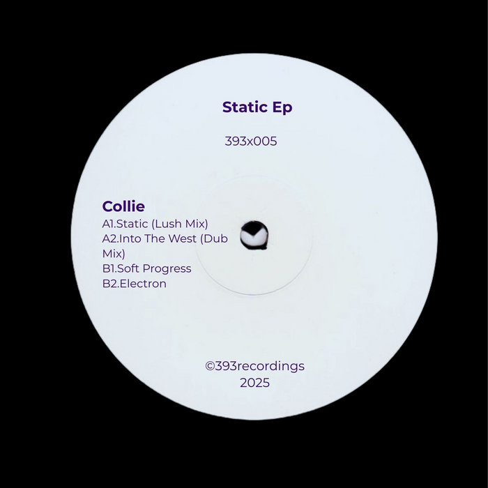 Times Expired The Elements EP ラップコア Static EP 393x005 | Collie | 393 Records