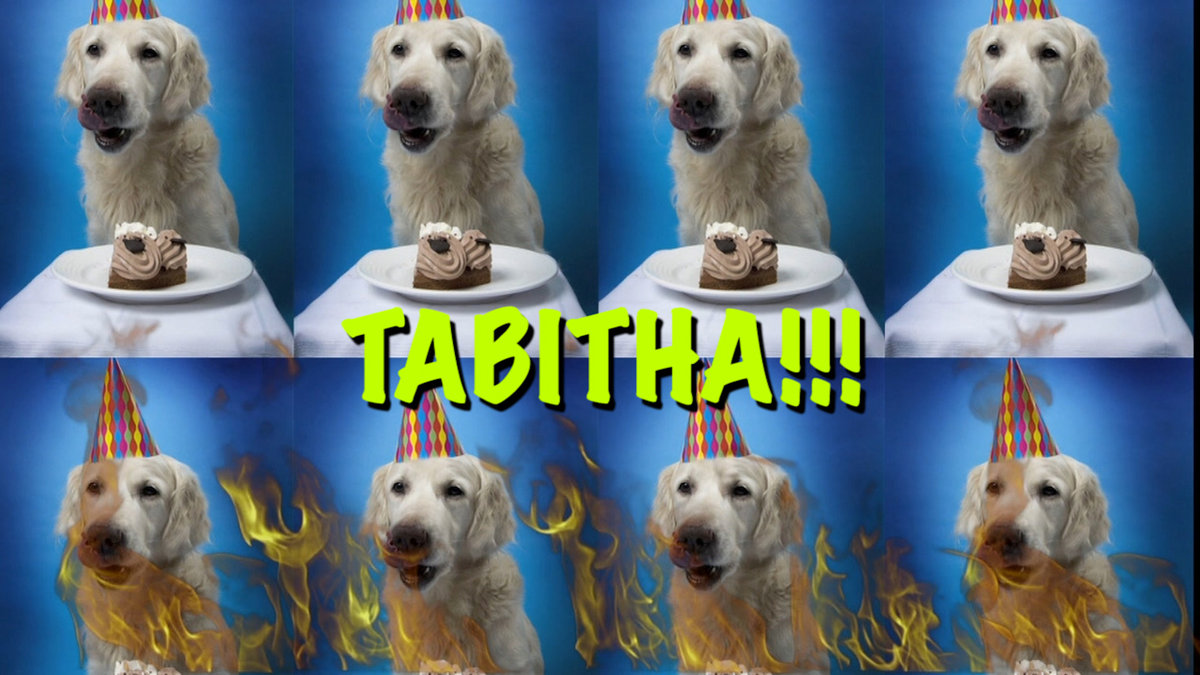 HAPPY BIRTHDAY TABITHA! | Epic Happy Birthdays