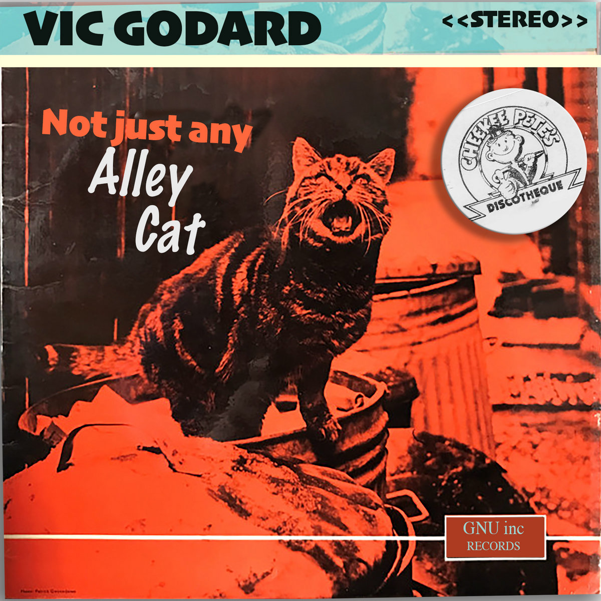 Not Just Any Alley Cat | Vic Godard