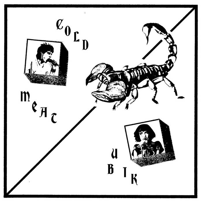 Ubik / Cold Meat Split Ubik & Cold Meat Lost in Fog Records