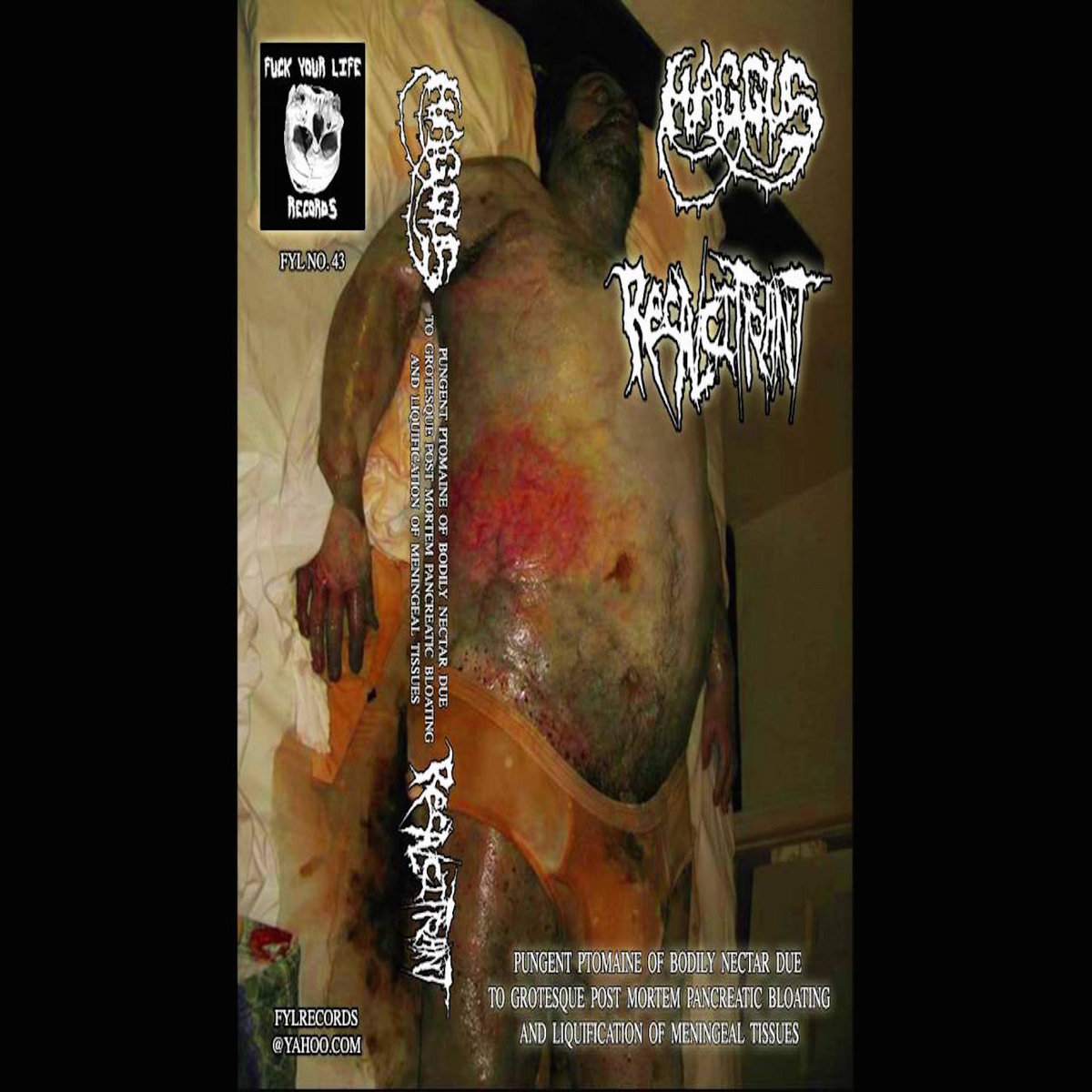 Haggus/Recalcitrant split | Recalcitrant