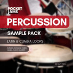 Latin & Cumbia Percussion Loops - Sample Pack