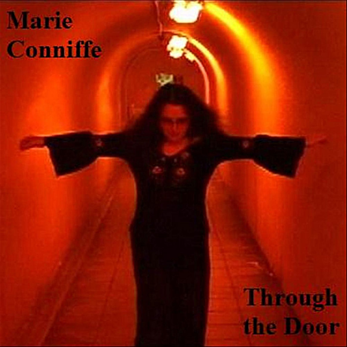 Through the Door cover