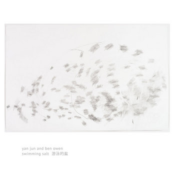 Album artwork for swimming salt 游泳的盐