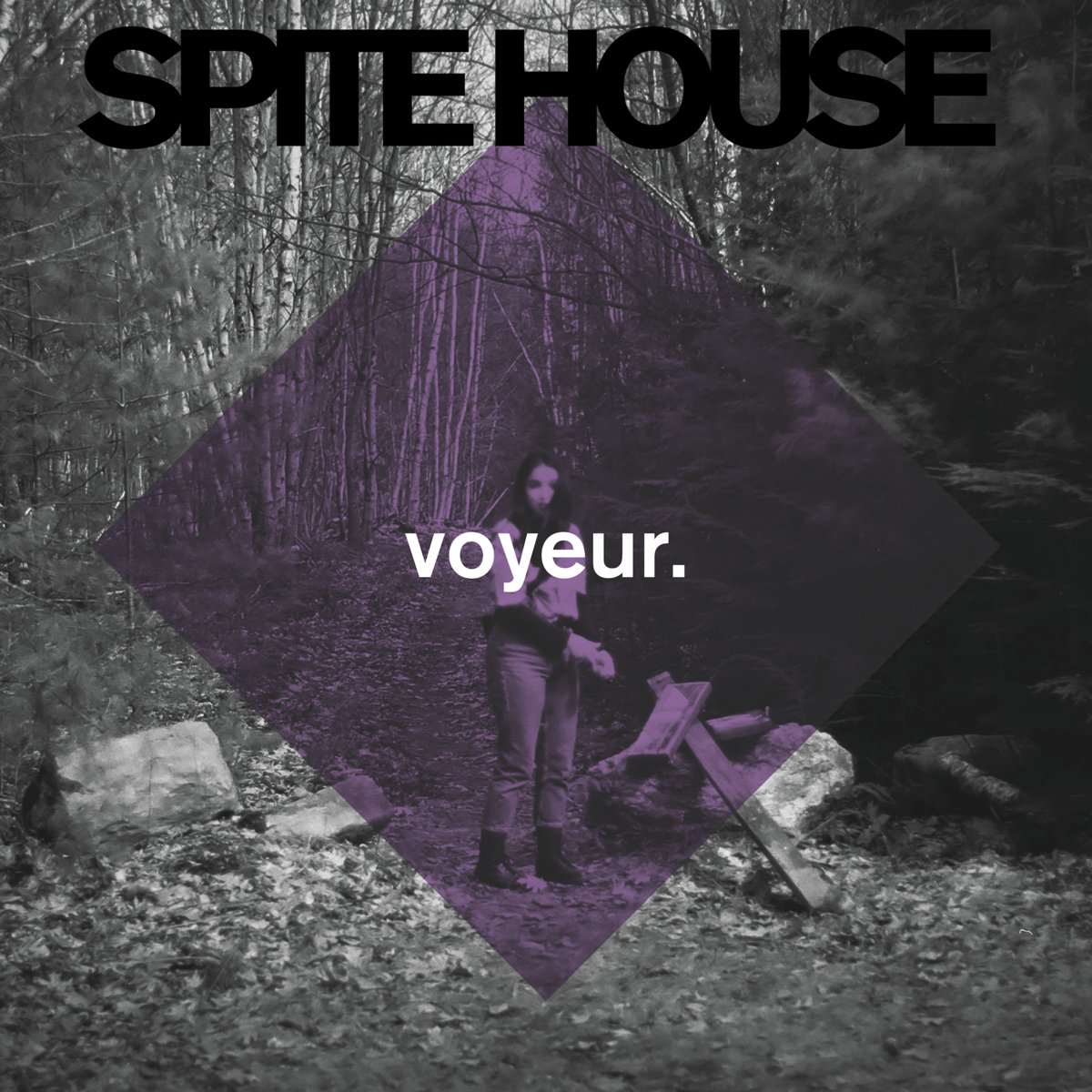 Voyeur Spite House