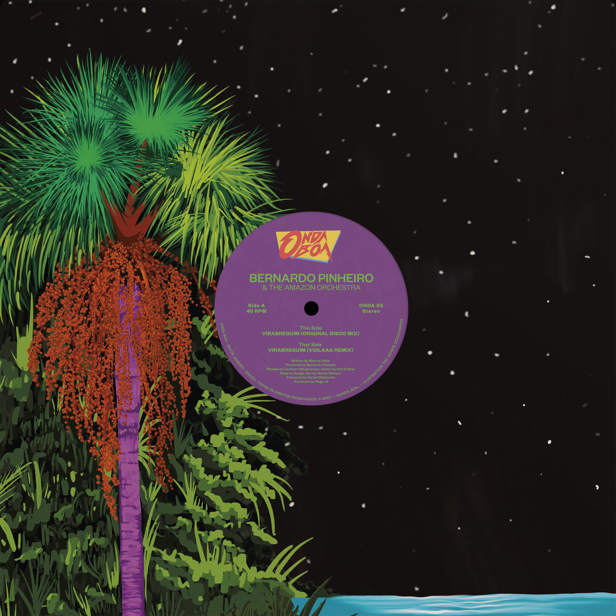 アート・デザイン・音楽 A Arte de Pontear Viola / Roberto Correa