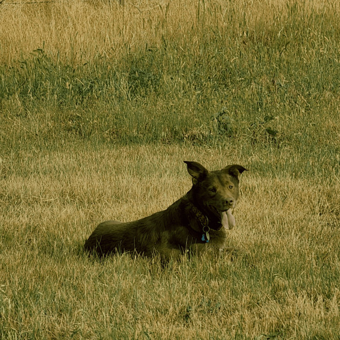 Ruthless Truthful Kind Dangerfield