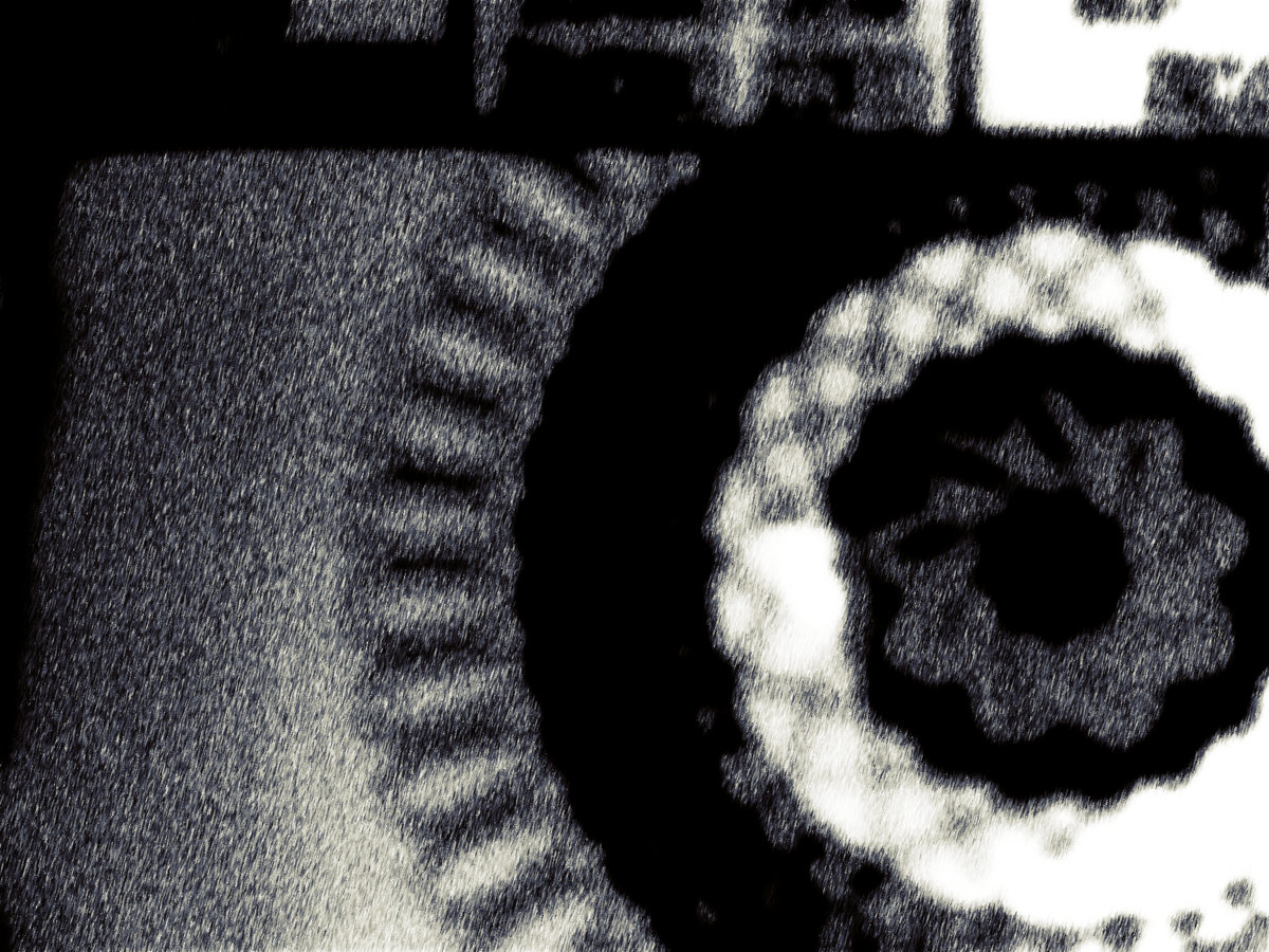 a2044769987_10.jpg