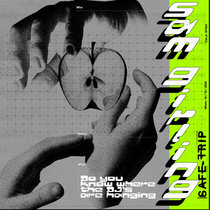 Sam Girling — Do You Know Where The DJ's Are Hanging