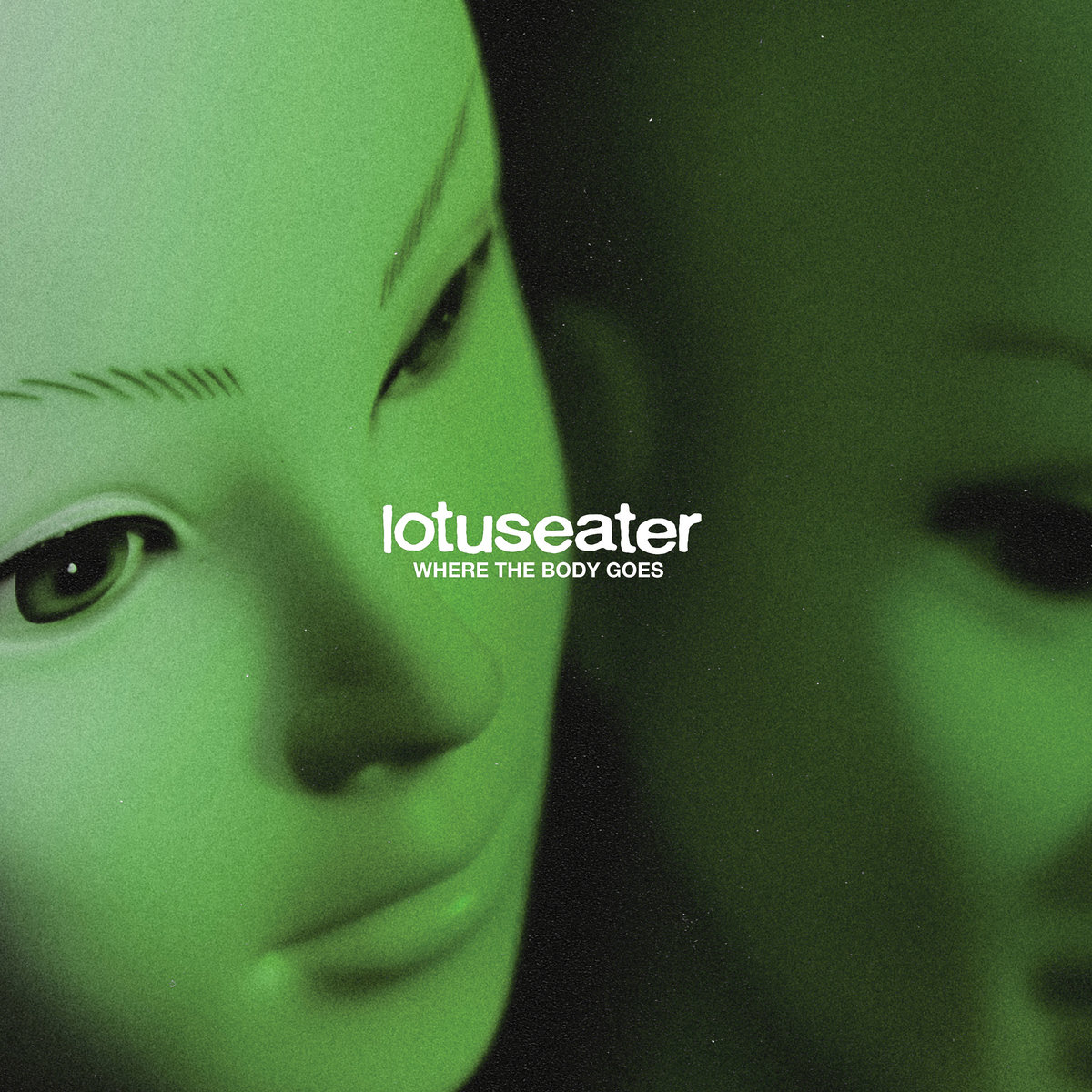 Where The Body Goes | Lotus Eater