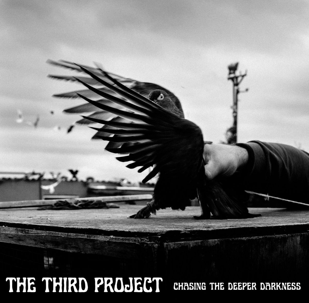 邦楽 END OF POLLUTION / Hope From The Dark END OF POLLUTION / Hope from the dark (12