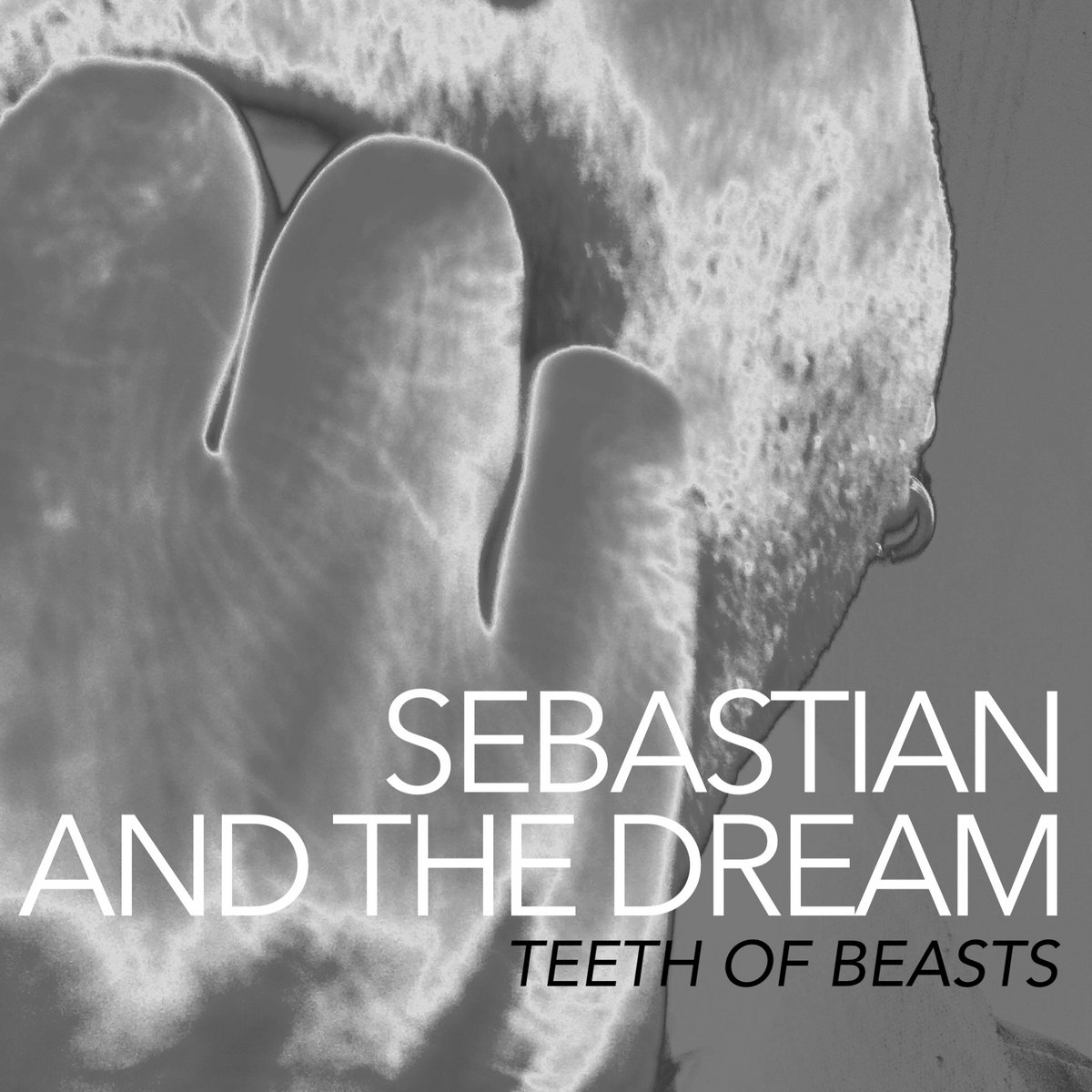'Teeth Of Beasts' cover