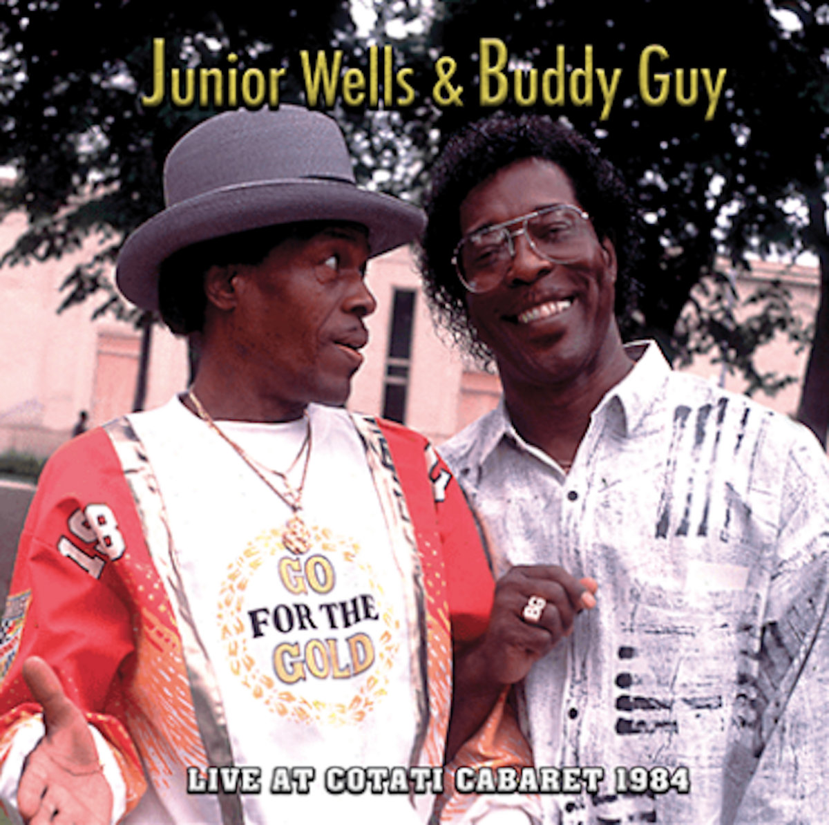 Live In Hiroshima 1975 | Junior Wells & Buddy Guy | Junior Wells