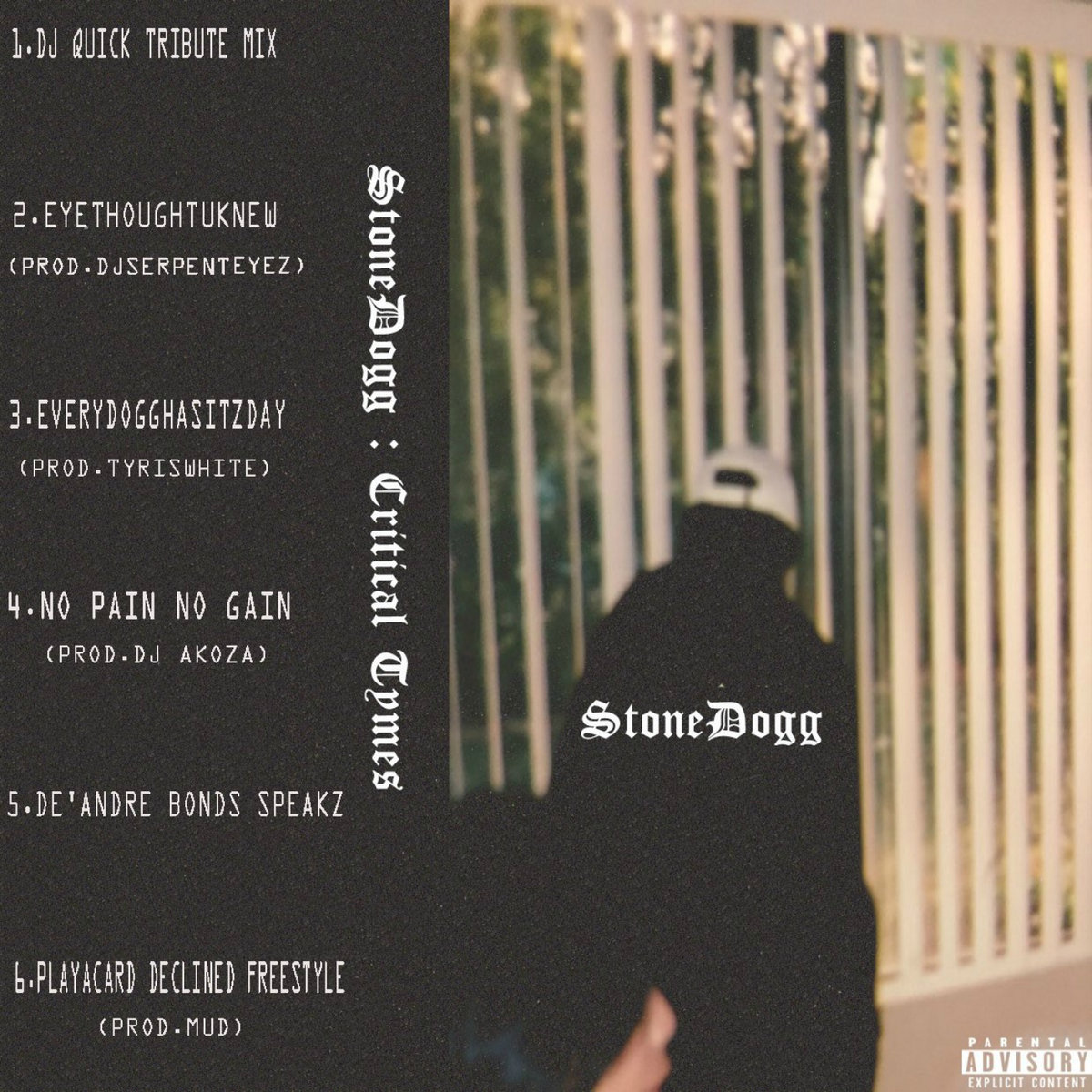 CRITICAL TYMEZ | StoneDogg display picture 1