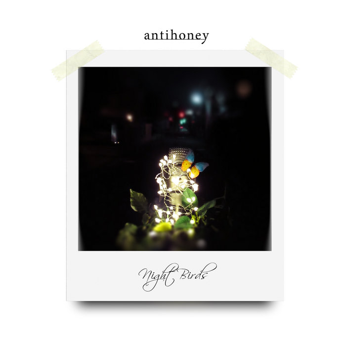 Night Birds antihoney