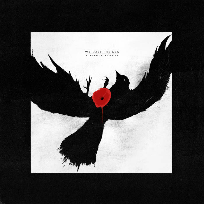 We Lost the Sea - A Single Flower