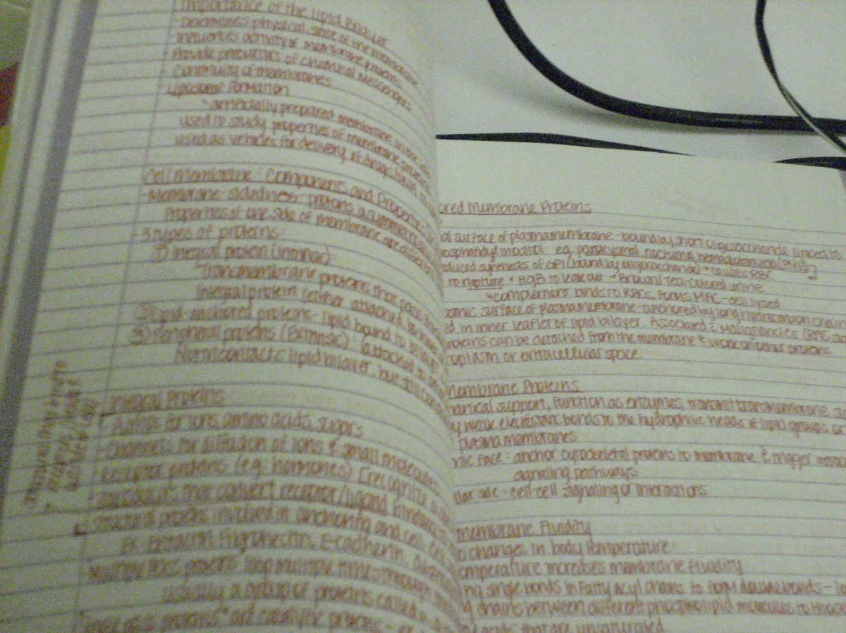 Nbme Psychiatry Shelf Exam Carlijer musphoepanpten