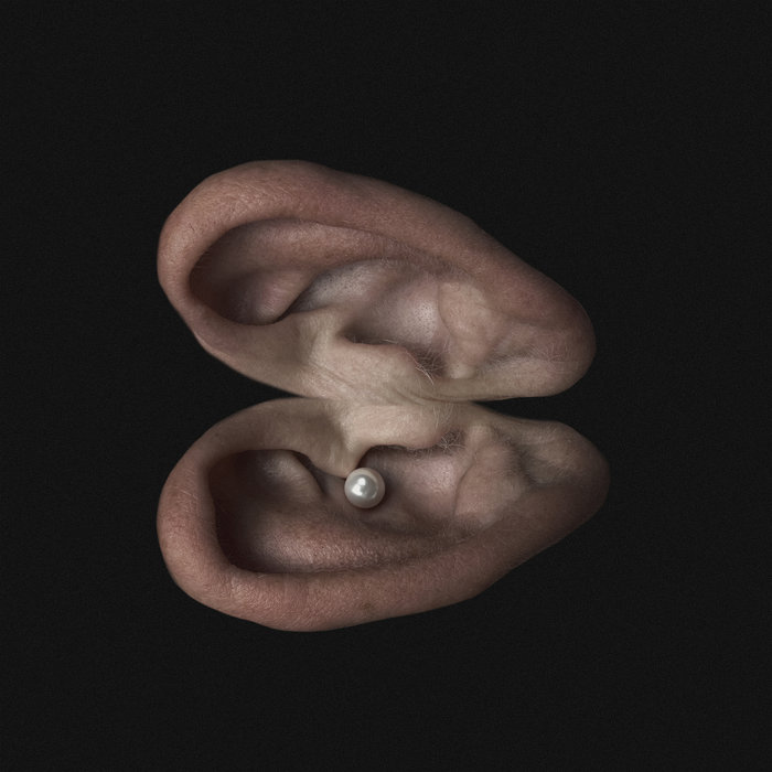 The Sound of My Tinnitus Andrew Melchior